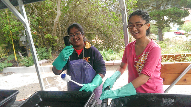 Presidio Native Plant Nursery volunteers