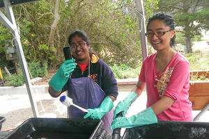 Presidio Native Plant Nursery volunteers