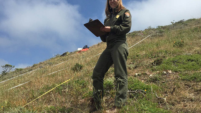Alison Forrestel looks up for a smile while holding a clipboard among vegetation plots in a hilly grassland habitat.