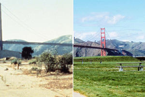 Before-and-after images crissy field