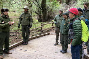 NPS rangers in green uniforms are seen in conversation on a boardwalk at Muir Woods.