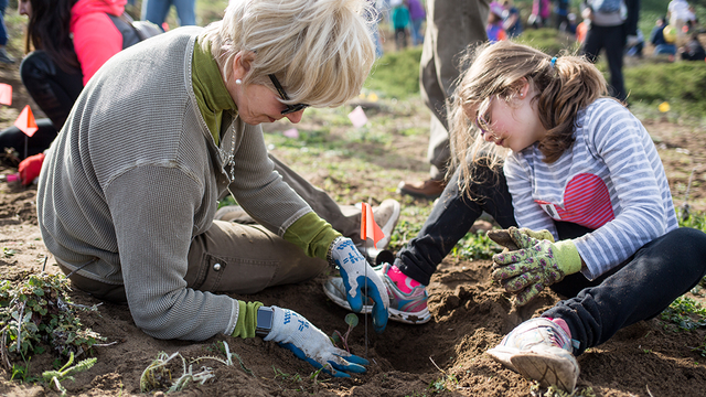 park volunteers planting