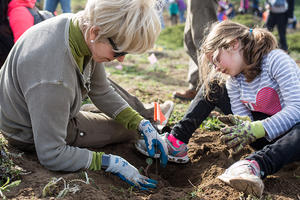 park volunteers planting