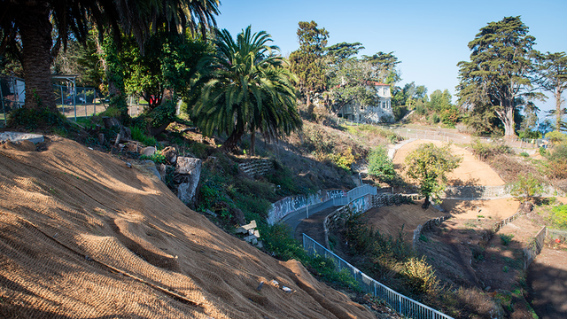 An image of a walking path in the midst of a tiered garden.