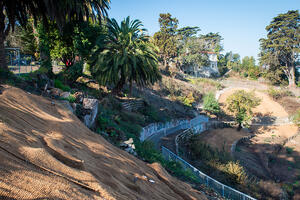 An image of a walking path in the midst of a tiered garden.