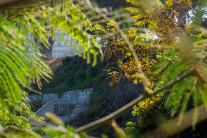 An image of a walking path in the midst of a tiered garden.