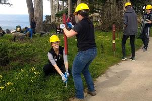 Getting to work at Love Your Parks Day at Lands End in February 2019.