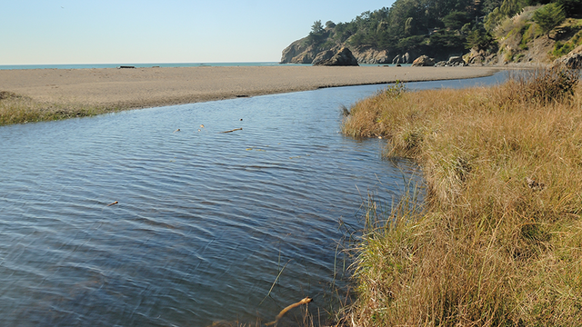 Muir Beach