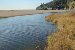 Muir Beach