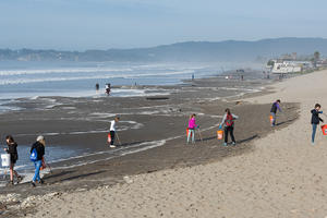 MLK Day of Service at Stinson beach