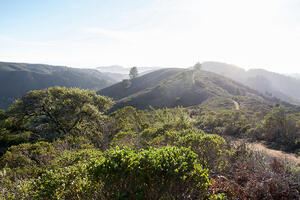 A trail at Rancho Corral de Tierra in San Mateo County. 