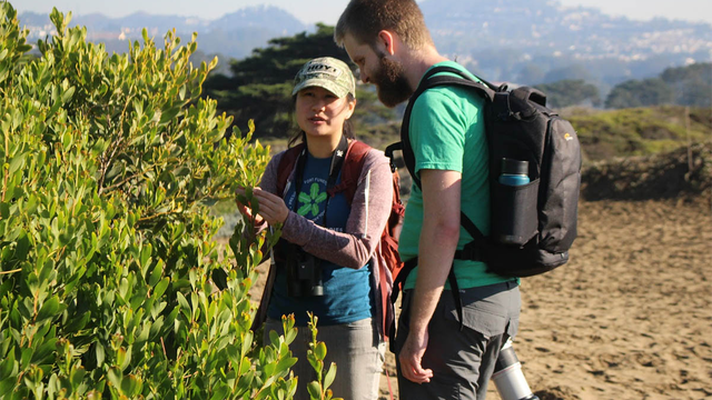 Mary Lee at the 2018 Winter BioBlitz at Ocean Beach.