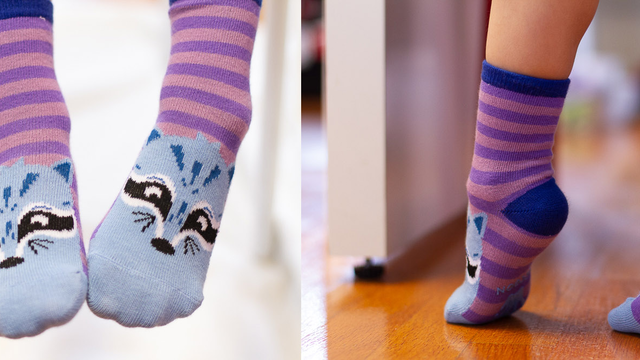 San Francisco Critter Socks Collection.