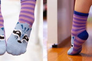 San Francisco Critter Socks Collection.