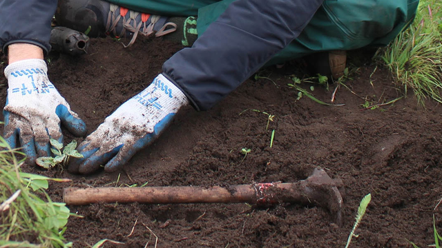 Volunteer working with soil in the Golden Gate National Parks.