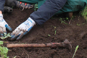 Volunteer working with soil in the Golden Gate National Parks.