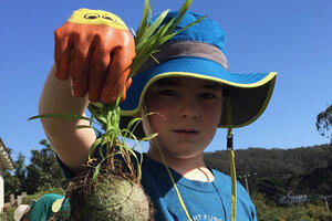 A young volunteer holds up a plant