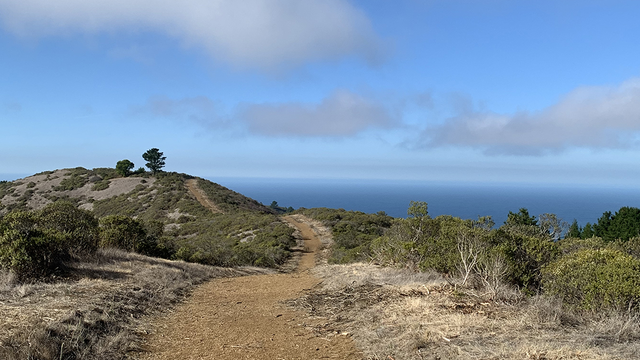 An image of a dirt walking trail with a view of a blue sky and the blue ocean.