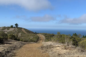 An image of a dirt walking trail with a view of a blue sky and the blue ocean.
