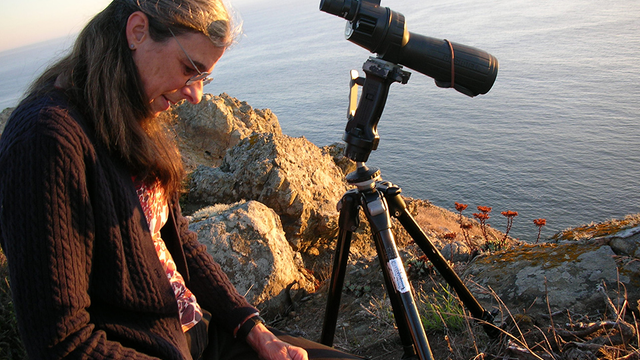 Biologist Sarah Allen records data in a notebook next to rocky California coastline.