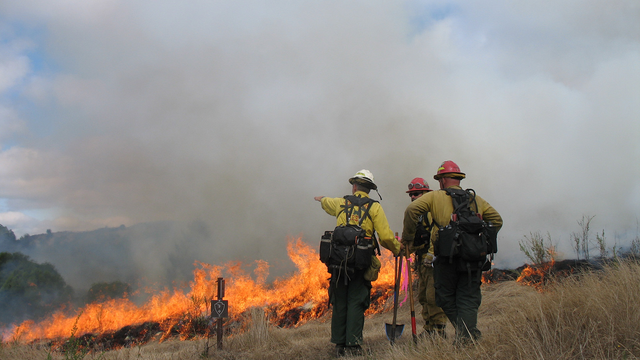 Uniformed firefighters gesture to each other as a prescribed fire burns on the grassy landscape.