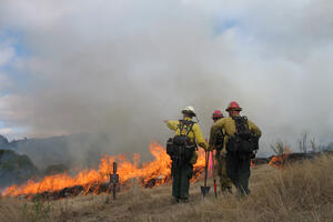 Uniformed firefighters gesture to each other as a prescribed fire burns on the grassy landscape.