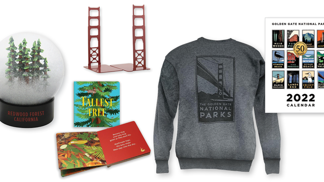 Several products including colorful 2022 calendar, Golden Gate Bridge bookends, trees board book. 