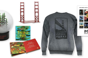 Several products including colorful 2022 calendar, Golden Gate Bridge bookends, trees board book. 