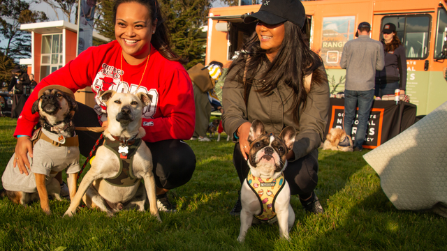 Pawty in the Parks