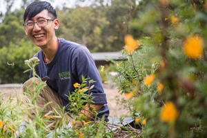 Presidio Intern at Work