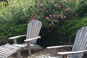 Garden Workshops with the Golden Gate National Park Nurseries