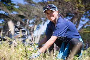 Volunteer at work in Lands End