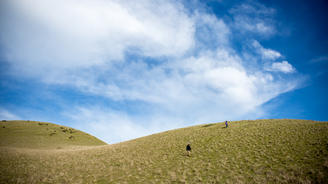 image of bald hill