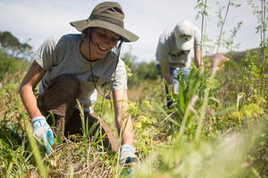 Stewardship Intern at Work