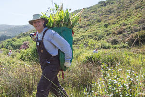Stewardship Intern at Work