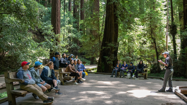 Park staff sharing upcoming projects in Muir Woods