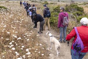 Hiking and observing nature at Rancho.