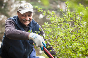 Presidio Volunteer