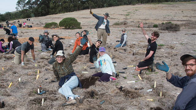 volunteer, planting, rancho corral de tierra