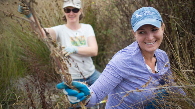 Volunteers at Work