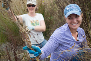 Volunteers at Work