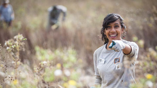 Parks Conservancy Identifying Native Plants