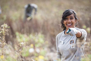 Parks Conservancy Identifying Native Plants