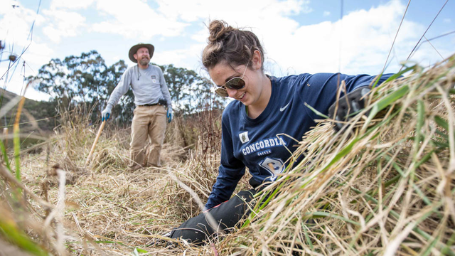 Habitat Restoration in Tennessee Valley