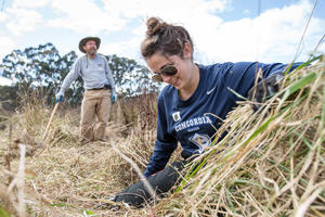 Habitat Restoration in Tennessee Valley