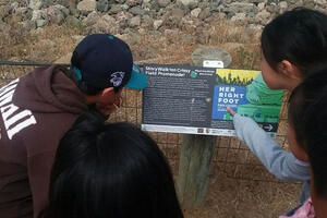 children looking at a storyboard and pointing