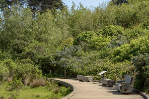 Trail at El Polin Springs, The Presidio