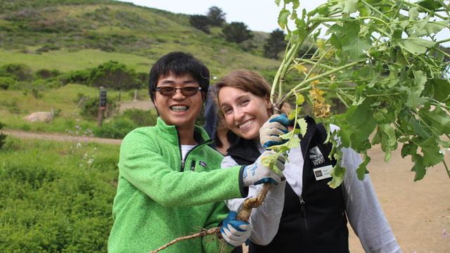 Park Stewardship Intern and Volunteer