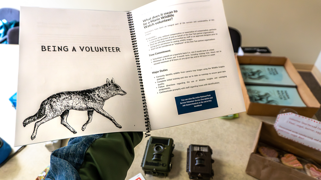 An image of the volunteer guide for Marin Wildlife Watch.