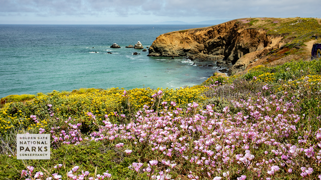 Mori Point Bluffs